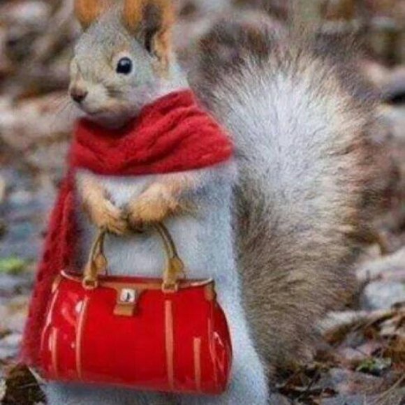 LIKE THIS FLYER to receive SHARE SHOW Notifications! Next Show: November 2025 - Picture 2 of 12